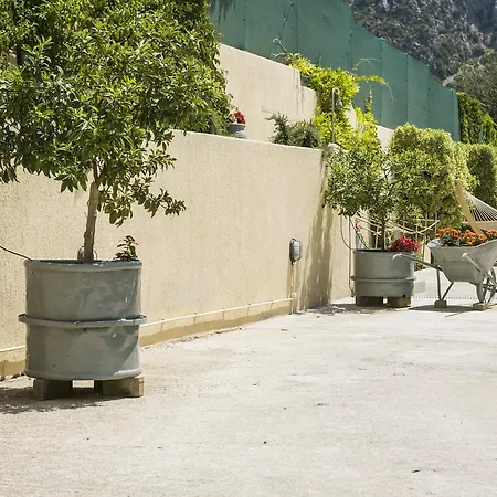 Sandy & Sofia קאטליוס